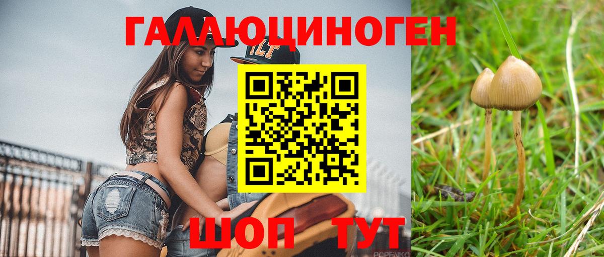Протвино  Галлюциногенные грибы Psilocybine cubensis  Вход с VPN 